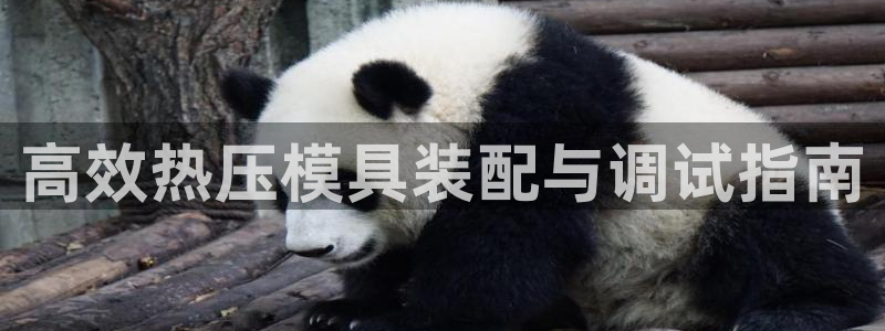 易倍康简历