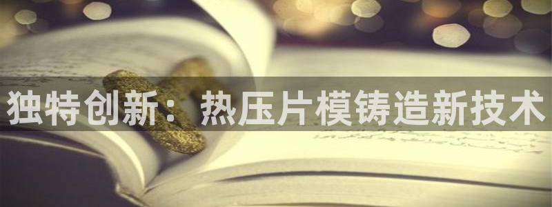 易倍网络技术有限公司是干嘛的：独特创新：热压片模铸造新技