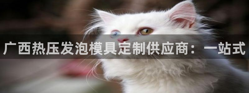 emc易倍官网登录入口：广西热压发泡模具定制供应商：一站