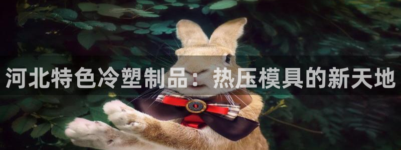 emc易倍账号异常：河北特色冷塑制品：热压模具的新天地