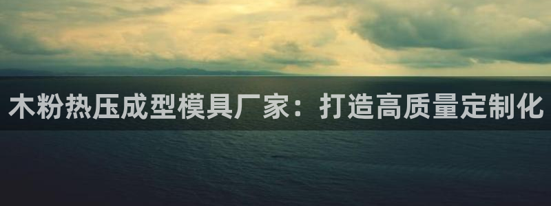 易倍单词登录平台：木粉热压成型模具厂家：打造高质量定制化