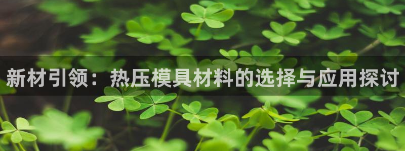 易倍申多少钱：新材引领：热压模具材料的选择与应用探讨