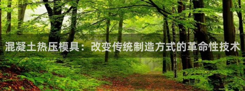 易倍康简历：混凝土热压模具：改变传统制造方式的革命性技术