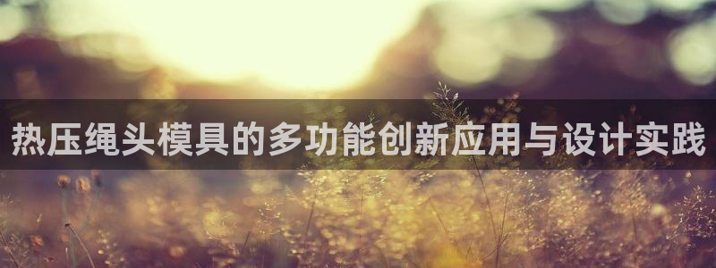 易倍申上市时间：热压绳头模具的多功能创新应用与设计实践
