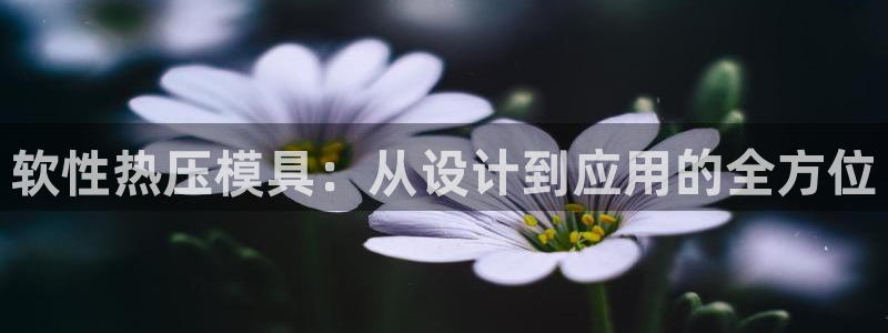 emc易倍官网登录首页：软性热压模具：从设计到应用的全方