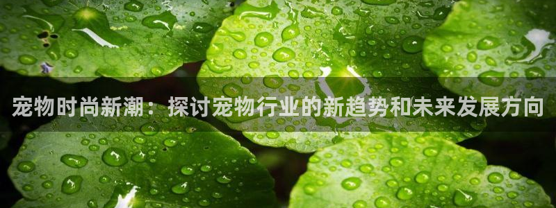 易倍达科技有限公司怎么样：宠物时尚新潮：探讨宠物行业的新