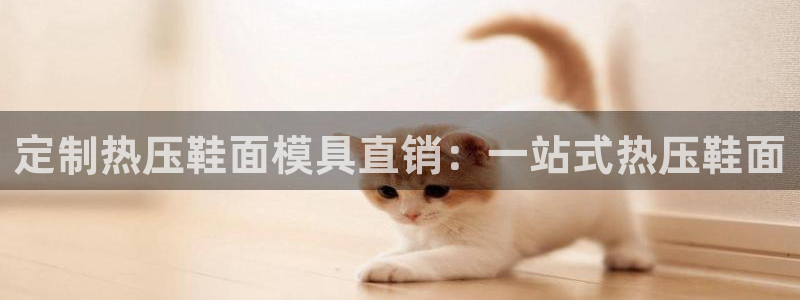 易倍申多少钱
