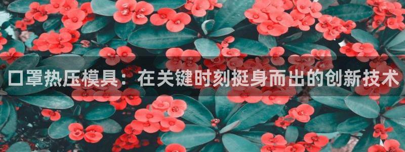 易倍单词官方网站登录：口罩热压模具：在关键时刻挺身而出的