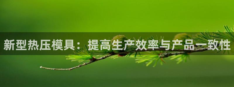 emc网页版：新型热压模具：提高生产效率与产品一致性
