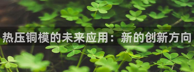 易倍网络技术有限公司是干嘛的