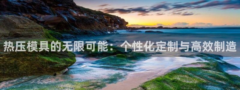 易倍申片能长期服用吗：热压模具的无限可能：个性化定制与高