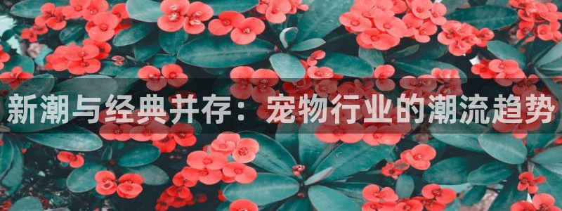 易倍电竞,有球必应：新潮与经典并存：宠物行业的潮流趋势