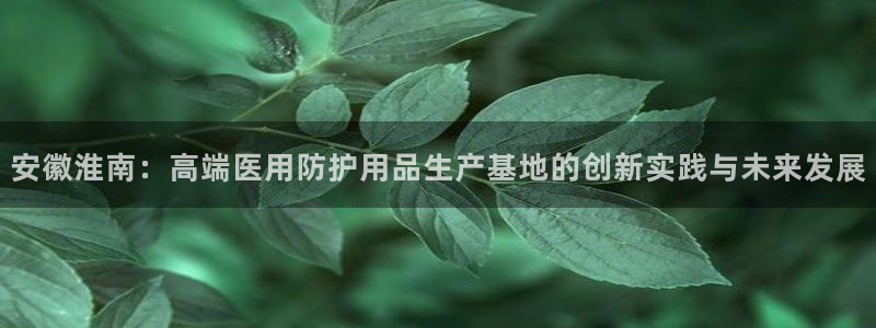 易倍申片说明书：安徽淮南：高端医用防护用品生产基地的创新