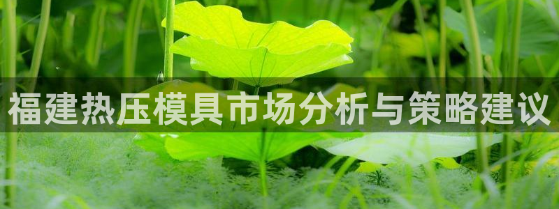 emc倍频：福建热压模具市场分析与策略建议