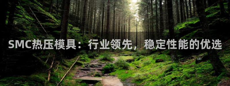 易倍网络技术有限公司怎么样：SMC热压模具：行业领先，稳