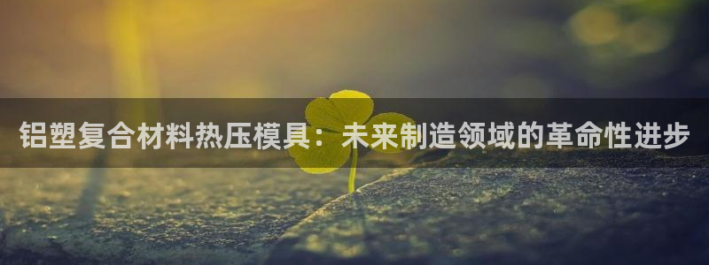 易倍企业管理软件怎么样：铝塑复合材料热压模具：未来制造领