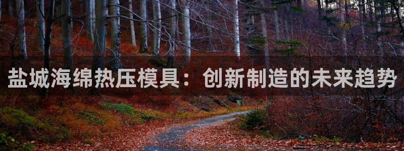 emc调试技巧：盐城海绵热压模具：创新制造的未来趋势
