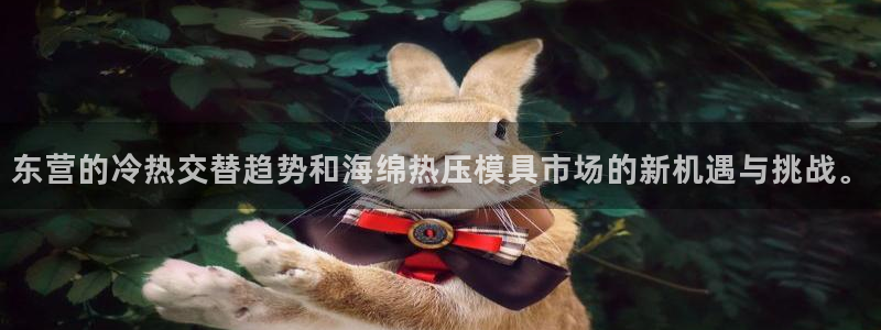 EMC倍频原理：东营的冷热交替趋势和海绵热压模具市场的新