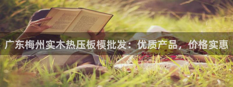 易倍app网站：广东梅州实木热压板模批发：优质产品，价格
