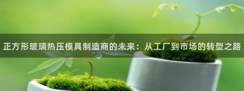 易倍纤使用方法：正方形玻璃热压模具制造商的未来：从工厂到