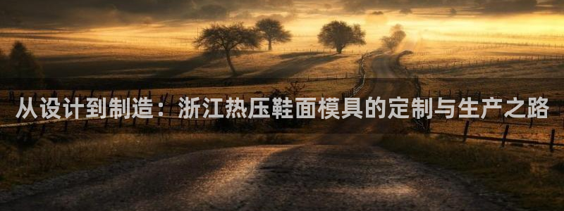 易倍申的副作用：从设计到制造：浙江热压鞋面模具的定制与生