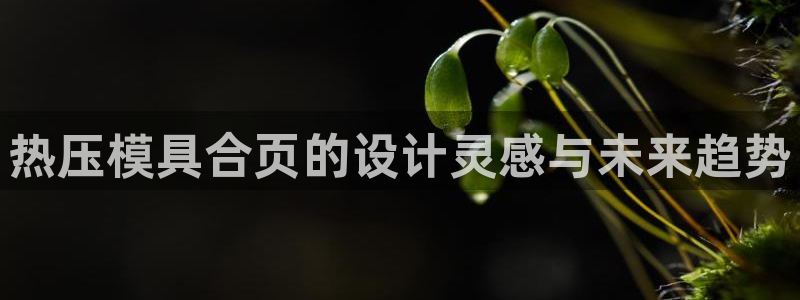 emcbet全站:热压模具合页的设计灵感与未来趋势