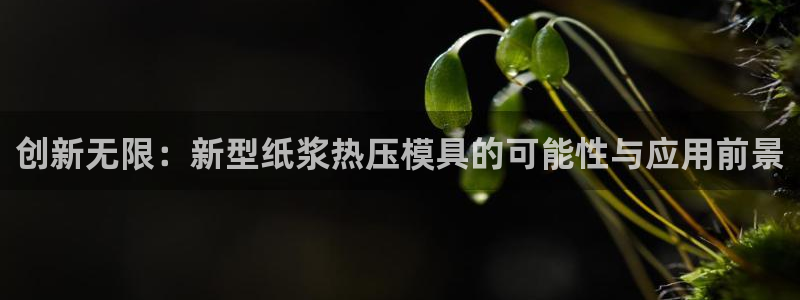 emc调试技巧：创新无限：新型纸浆热压模具的可能性与应用