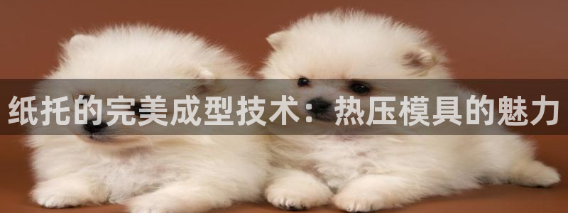 emc32软件安装：纸托的完美成型技术：热压模具的魅力