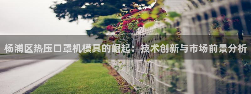 易倍app网站：杨浦区热压口罩机模具的崛起：技术创新与市