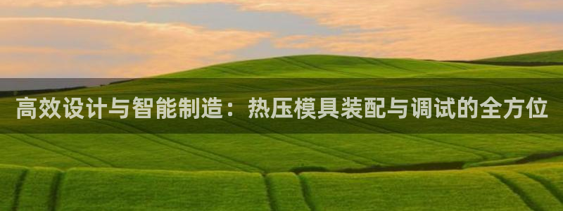 易倍纤代餐奶昔减肥效果怎么样：高效设计与智能制造：热压模