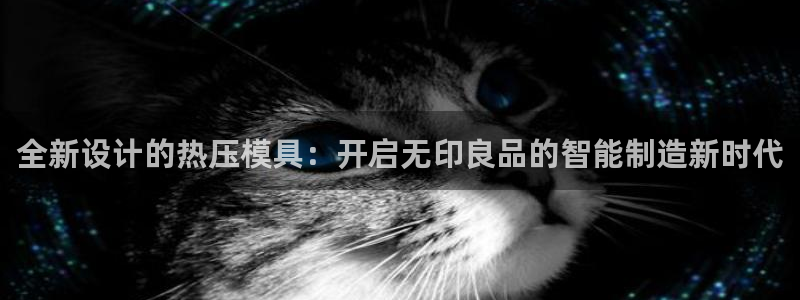 易倍企业管理软件：全新设计的热压模具：开启无印良品的智能