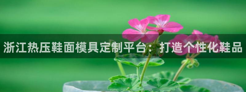 emc易倍网页版：浙江热压鞋面模具定制平台：打造个性化鞋