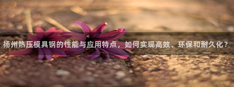 emc32软件使用说明：扬州热压模具钢的性能与应用特点，