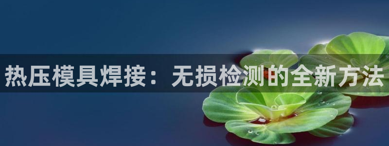 易倍申的包装规格：热压模具焊接：无损检测的全新方法