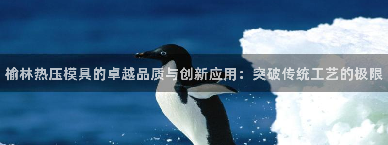 emc易倍黑吗