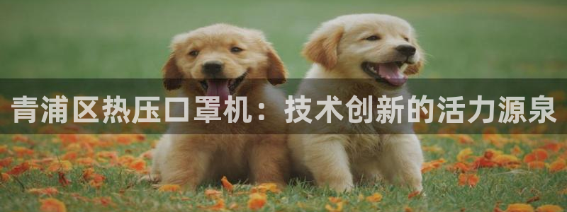 易倍纤瘦身三部曲的价格：青浦区热压口罩机：技术创新的活力