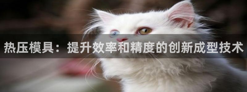 emc全站下载地址