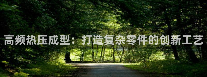 易倍单词官方网站的：高频热压成型：打造复杂零件的创新工艺