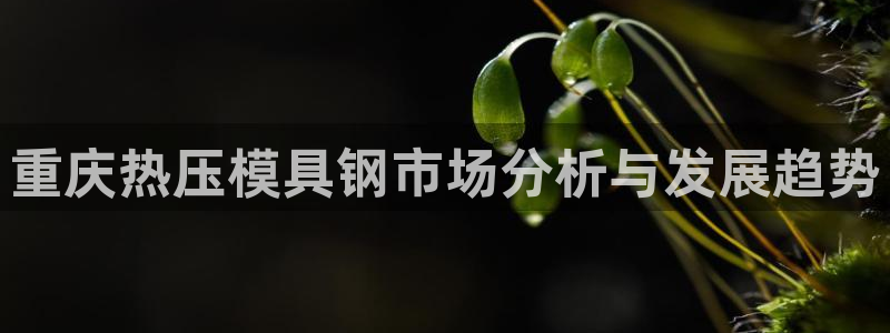 北京易倍思教育科技有限公司：重庆热压模具钢市场分析与发展