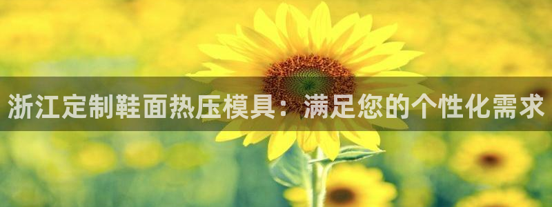 易倍纤酵素效果好吗：浙江定制鞋面热压模具：满足您的个性化