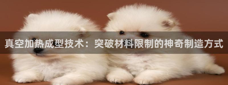 易倍单词官网下载：真空加热成型技术：突破材料限制的神奇制