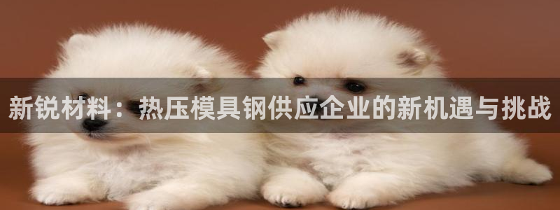 易倍单词平台：新锐材料：热压模具钢供应企业的新机遇与挑战