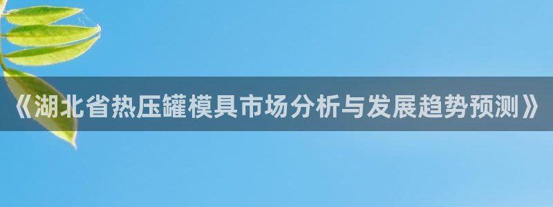 易倍单词官方网站的:《湖北省热压罐模具市场分析与发展趋势