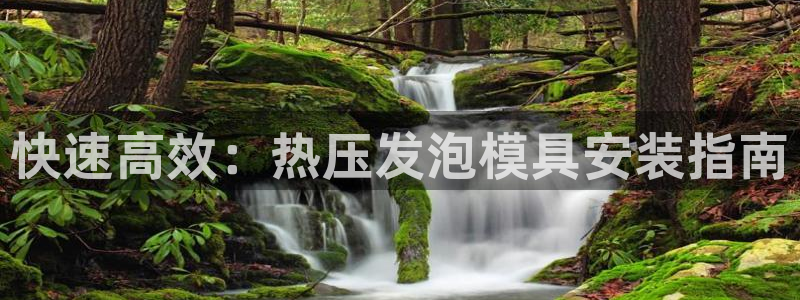 易倍单词app下载:快速高效:热压发泡模具安装指南