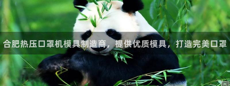 易倍EMC网址：合肥热压口罩机模具制造商，提供优质模具，