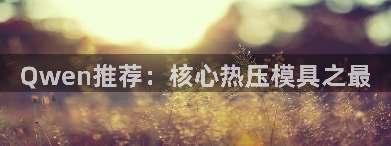 易倍单词官方网站登录：Qwen推荐：核心热压模具之最