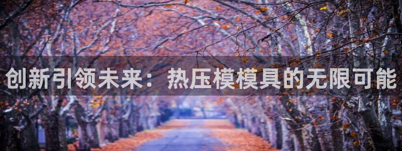 emc易倍电竞:创新引领未来:热压模模具的无限可能