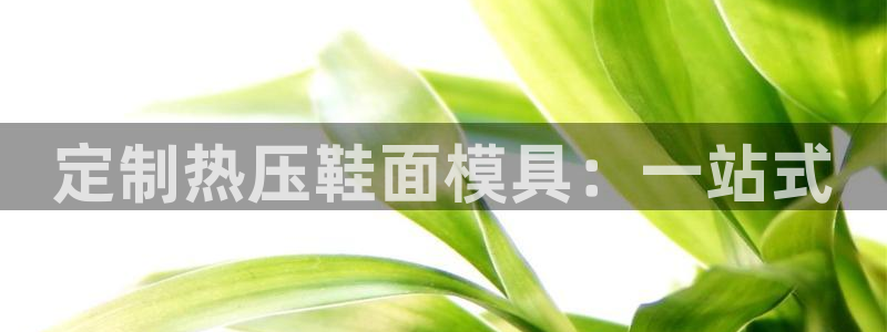 易倍申价格:定制热压鞋面模具:一站式