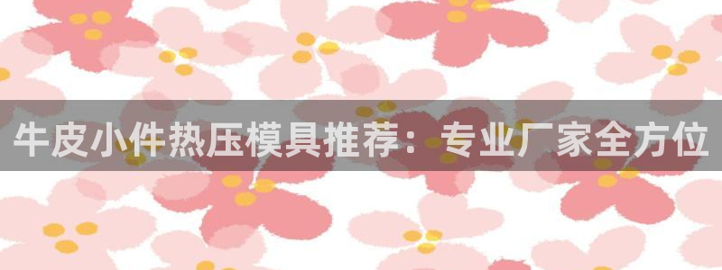 易倍纤奶昔减肥效果怎么样:牛皮小件热压模具推荐:专业厂家