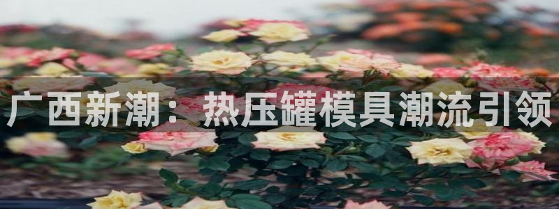 易倍达科技有限公司招聘